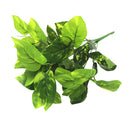 新人工灌木创意装饰人造植物蕨类模拟植物塑料花蕨墙材料配件