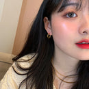 Titanium Geo Earrings Women 361L Stainless Steel Jewelry Punk Party Gown Brincos T Show Runway Rare Korean Japan Style INS