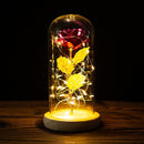 LED Enchanted Galaxy Rose Eternal 24K Gold Foil Flower with String Lights In Dome for Home Decor Christmas Valentine&