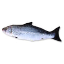 Cat Toy Interactive Fish Catnip Pet Toy Soft Plush 3D Fish Shape Gifts Toys Stuffed Pillow Doll Simulation Fish Playing Toy