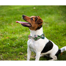 Green Leaf Dog Collar and Leash Set with Bow Tie Personal Custom Adjustable Pet Puppy 100% Cotton Dog Birthday Gift