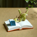 Everyday Collection Miniature Fairy Garden and Terrarium Mini Dragon Rex The Green Dragon Collectible Fantasy Figurine