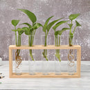Glass and Wood Vase Planter Terrarium Table Desktop Hydroponics Plant Bonsai Flower Pot Hanging Pots with Wooden Tray Home Decor
