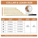 304 Stainless Steel Dog Chain Collar And Leash Super Strong Dog Metal Collar Choke Silver Gold Pet Lead Rope For Party Show