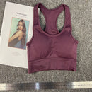无缝健身女士瑜伽服高弹力运动套装带胸垫运动文胸高腰运动紧身裤健身房