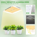 Mars Hydro TS 1000W Grow Kits Combo with Indoor Grow Tent Full Spectrum Best for Hydro Plant Veg Flower