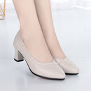 Summer Women Office Dress Heels Lady Kitten Nude Short 6cm Woman Heel Ladies Pumps Shoes Elegant Pump Black Beige Pointed Toe