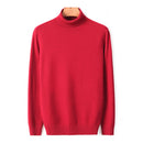2022 New Autumn Winter Men's Warm Turtleneck Sweater High Quality Fashion Casual Comfortable Pullover Thick Sweater Male Brand