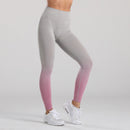 LANTECH Women Gym Yoga Seamless Pants Sportswear Clothes Stretchy High Waist Lifting Exercise Fitness Leggings Activewear Squat
