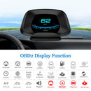 P19-HUD
