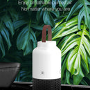 Purifier WS-C06