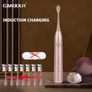 CANDOUR CD-5168 声波电动牙刷 可充电牙刷 IPX8 级防水 15 种模式 USB 充电器 替换刷头套装