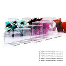 50Pcs/Set Candy Box Packaging Gift Birthday Wedding Favor Chocolate Event Sweet Bags Jewelry PVC Clear Wholesale Boxes Business