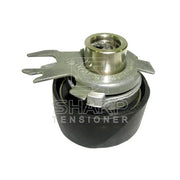 Cummins 3914086  3912332  Belt tensioner