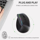 Delux M618C 无线静音人体工学立式6键游戏鼠标 USB接收器 RGB 1600 DPI 光学鼠标 适用于PC笔记本电脑
