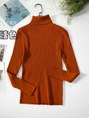 2022 Basic Turtleneck Women Sweaters Autumn Winter Thick Warm Pullover Slim Tops Ribbed Knitted Sweater Jumper Soft Pull Female
