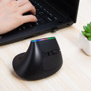 Delux M618C 无线静音人体工学立式6键游戏鼠标 USB接收器 RGB 1600 DPI 光学鼠标 适用于PC笔记本电脑
