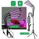 DC5V/12V LED植物生长灯 USB植物灯 全光谱植物灯 带控制器 适用于植物幼苗花卉室内种植箱