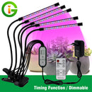 DC5V/12V LED植物生长灯 USB植物灯 全光谱植物灯 带控制器 适用于植物幼苗花卉室内种植箱