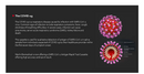SARS-CoV-2 Antigen Rapid Test Cassette-Saliva