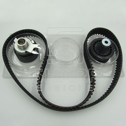 VW SKF VKMA01114  INA 530050010 RUVILLE 5543070    Timing belt kit