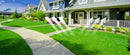 LANDSCAPE GRASS
