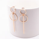 2019 Fashion Earrings Punk Simple Gold Silver Color Long Section Tassel Pendant Size Circle Earrings For Ladies Gifts Wholesale