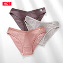 FINETOO 3条/套女士内裤纯棉内裤性感内裤女内裤纯色内裤女士内衣 M-2XL
