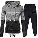 Casual Tracksuit Women Two Piece Set Suit Female Hoodies and Pants Outfits 2020 Women's Clothing Autumn Winter Sweatshirts New