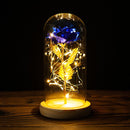 Valentines Day Gift for Girlfriend Eternal Rose LED Light Foil Flower In Glass Cover Mothers Day Wedding favors Bridesmaid Gift