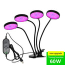 5V LED Grow Light USB Phyto Lamp Full Spectrum Fitolampy With Control For Plants Seedlings Flower Indoor Fitolamp Grow Box