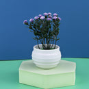 Mini Artificial Aloe Plants Bonsai Small Simulated Tree Pot Plants Fake Flowers Office Table Potted Ornaments Home Garden Decor