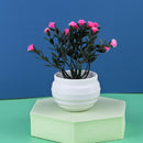 Mini Artificial Aloe Plants Bonsai Small Simulated Tree Pot Plants Fake Flowers Office Table Potted Ornaments Home Garden Decor