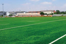 RUGBY TURF