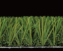 RUGBY TURF