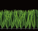 RUGBY TURF