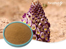Cistanche Tubulosa Extract